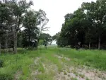 Mixed-Use Land for Sale in Mabank, Texas
